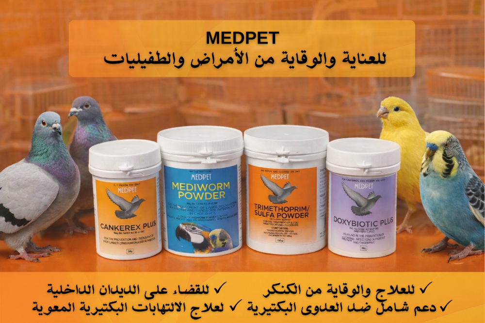 تعرف على الأمراض الشائعة بين الحمام وطيور الزينة - منتجات ME