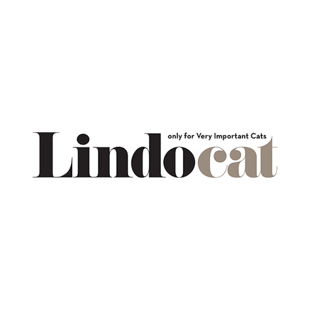 LindoCat