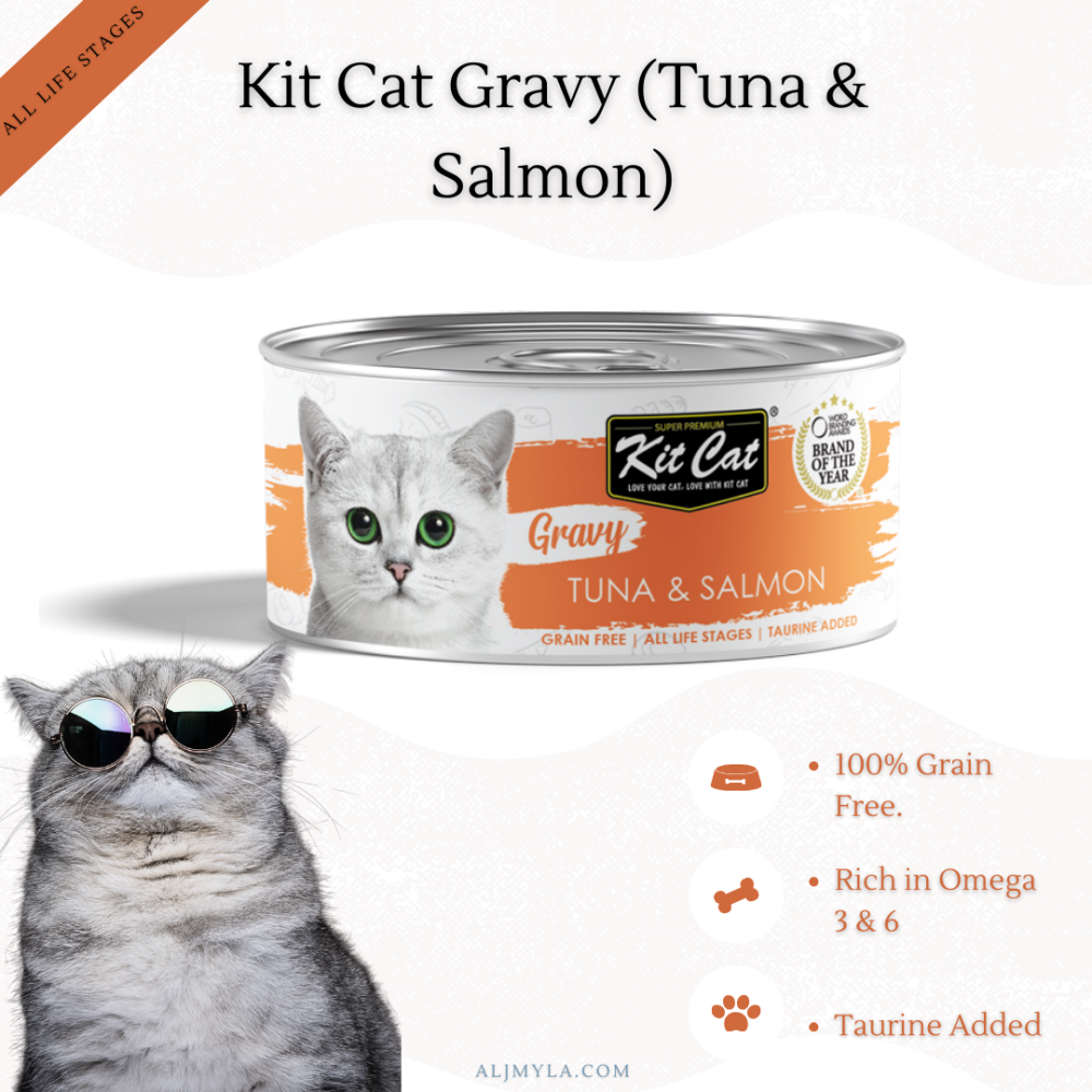 معلبات كت كات جرافي تونا مع السالمون بالمرق Kit Cat Gravy Tuna Salmon