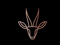 محمصة ادمي - IDMI COFFEE