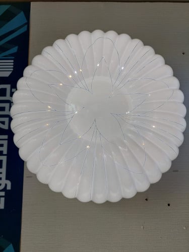 بلافون سقف بمقاس 30 cn و 3 اللوان