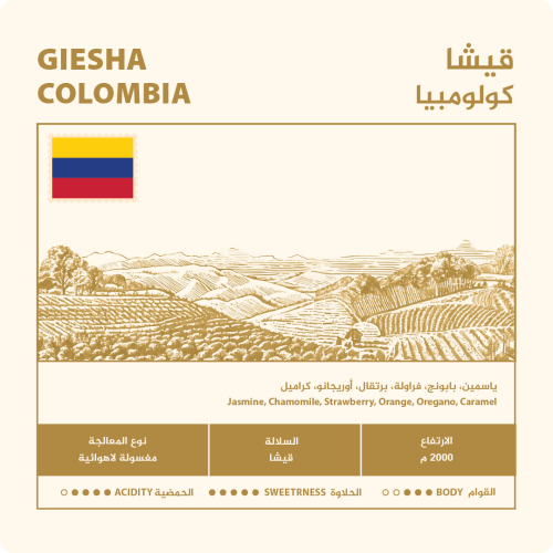 منتج مجاني: قيشا