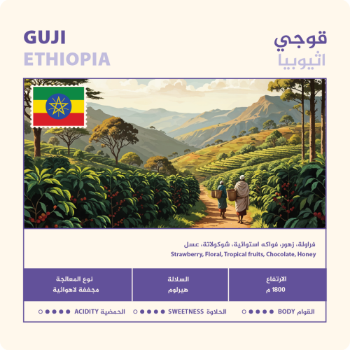 اثيوبيا قوجي