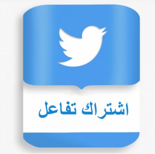 اشتراك يومي 3 تغريدات