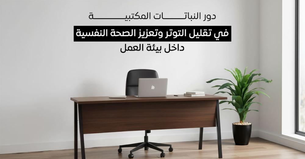 دور النباتات المكتبية في تقليل التوتر وتعزيز الصحة النفسية داخل بيئة العمل