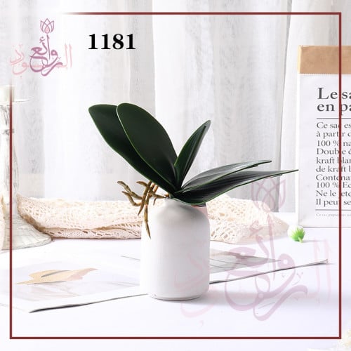 باقات ورق الموز