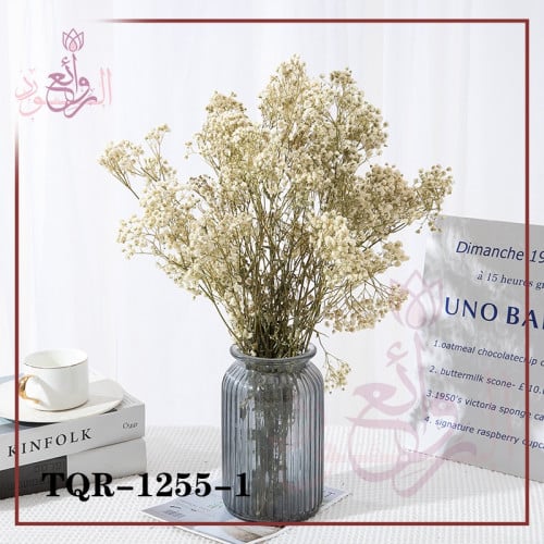 جبسفيليا مجفف طبيعي