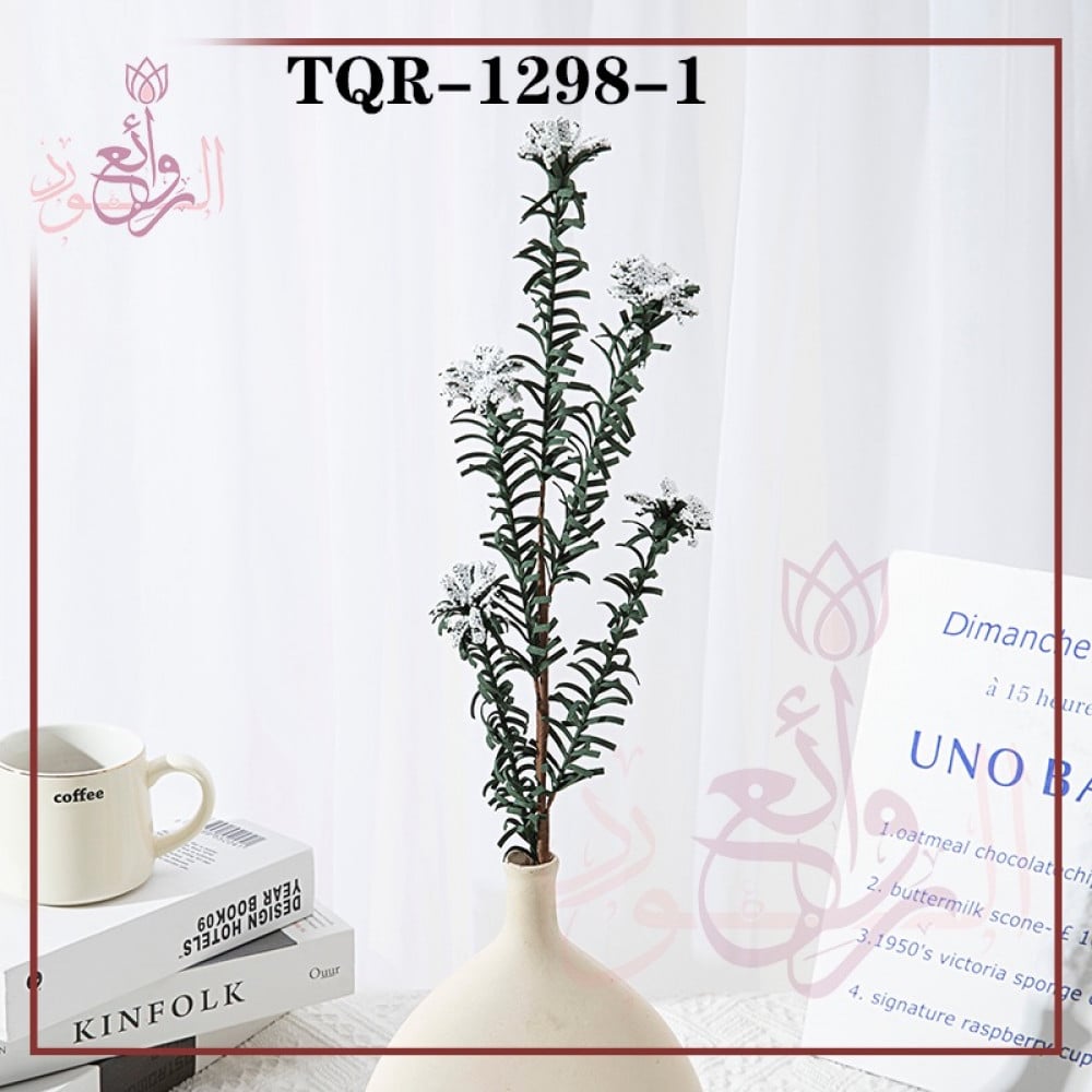 اغصان فلين 12 حبة