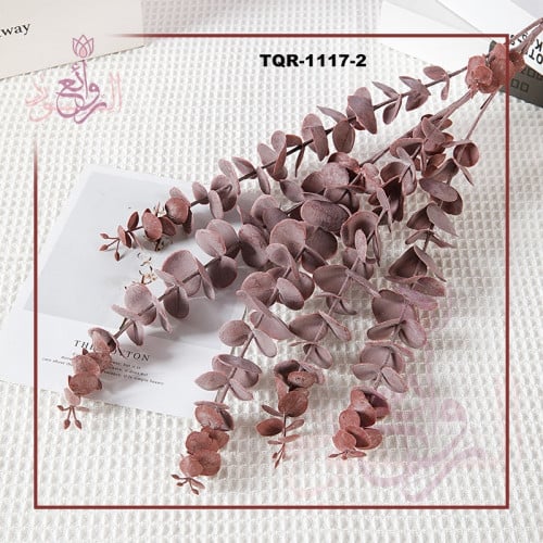 باقات كلبتوس ملون