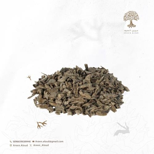 كودي موري - O10010042