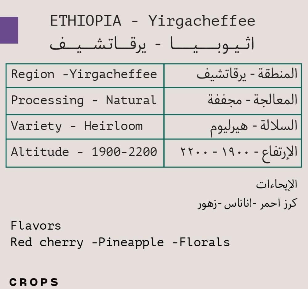 محمصة كروبس- اثيوبيا -يرقاتشيف - مجففة 250g