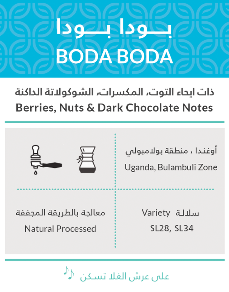 كفة بودا -بودا 250g