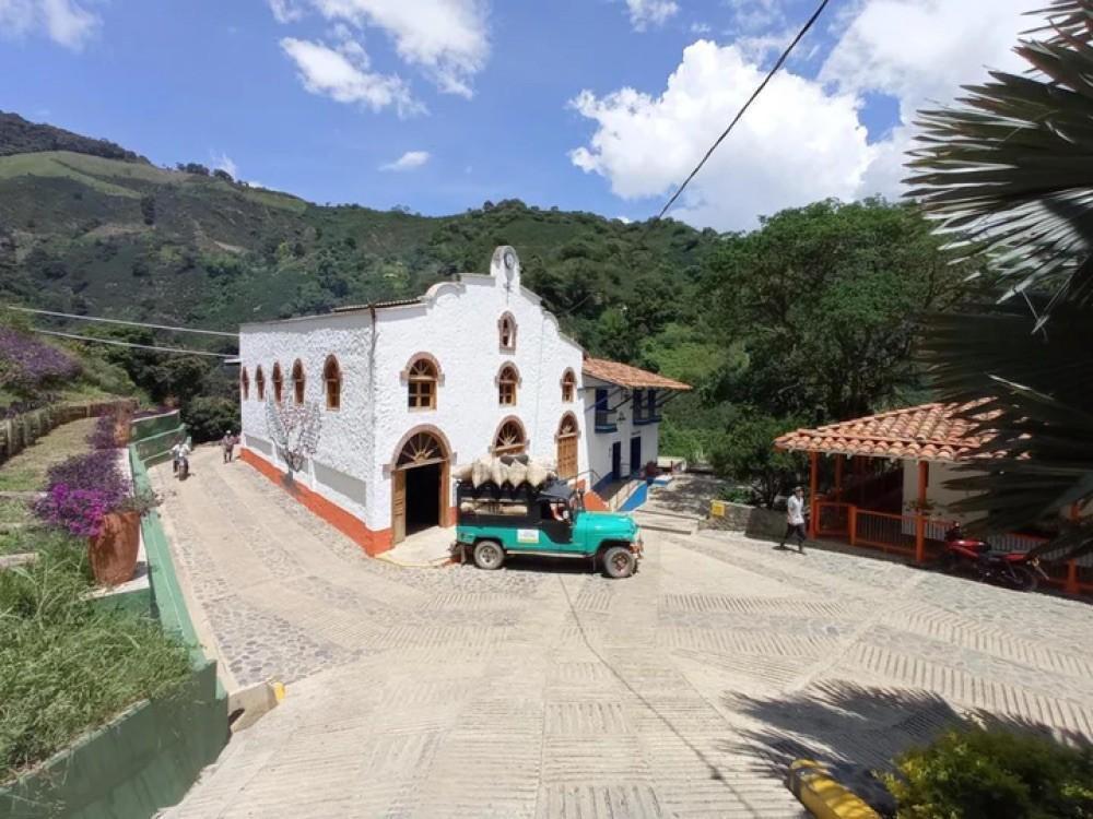 محمصة بريهانت -برازيلي موجيانا 250g