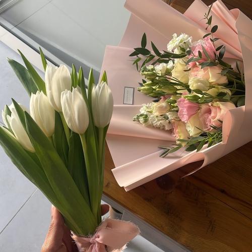 بوكية التوليب