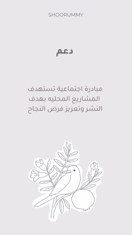 مبادرة دعم المشاريع الصغيرة غير الربحية