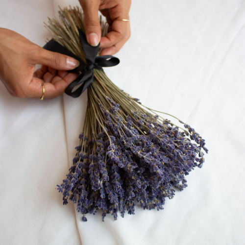 لافندر مجفف