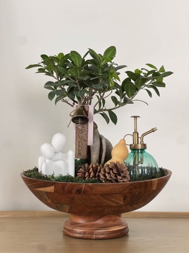 هدية شجرة بونساي | زوجين