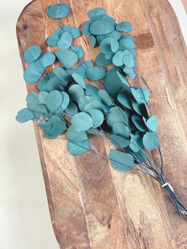 اغصان يوكالبتوس طبيعي مجفف -  كبير