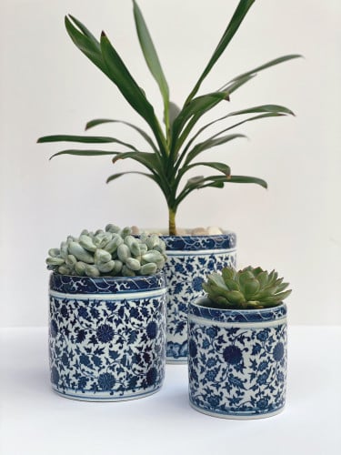 اصيص نباتات ازرق - اسطواني / مقاسات مختلفة