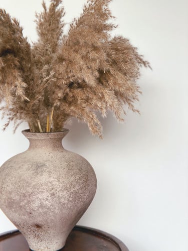 اغصان بامباس كثيفة - مجموعة من 5 اغصان