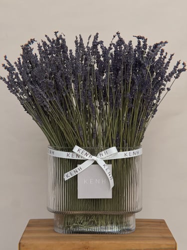 فازة لافندر طبيعي - كبير