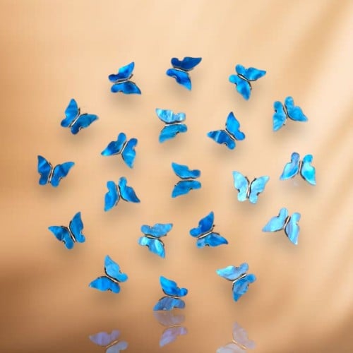 فراشة
