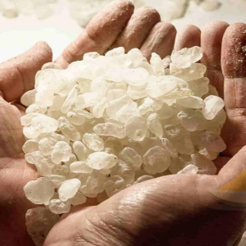 ماهي المستكة