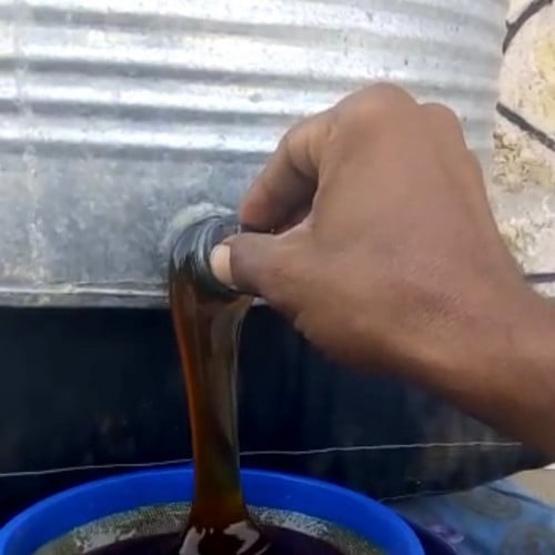مرعى حضرمي