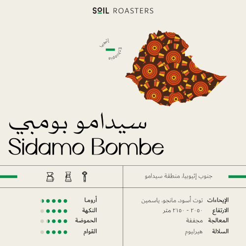 تخفيض سويل سيدامو بومبي Sidamo Bombe إثيوبيا مجففة