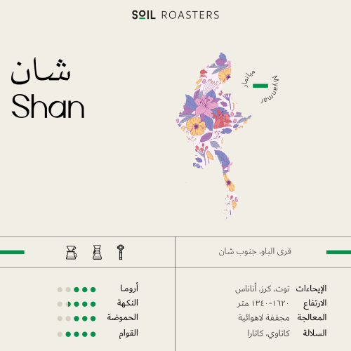 سويل شان ميانمار مجففة لاهوائية