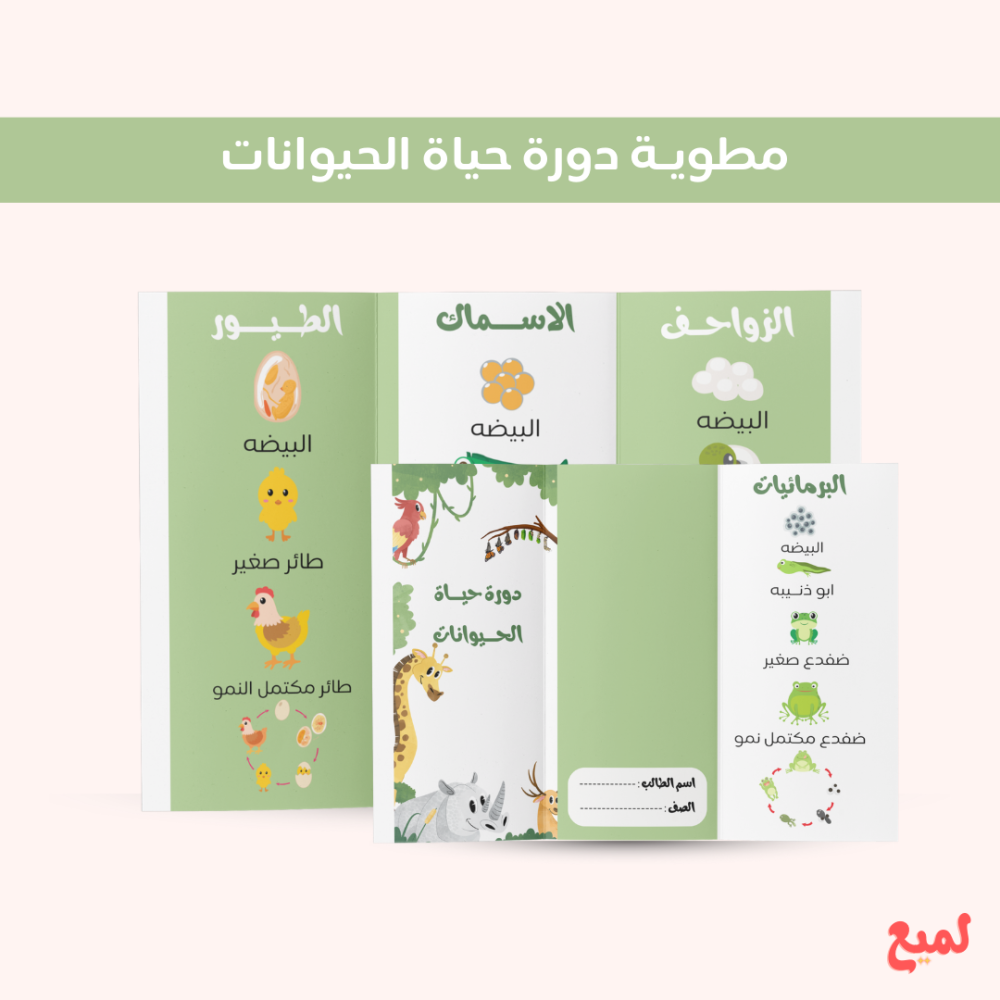 مطوية مادة العلوم الصف الثالث ابتدائي( دورة حياة  الحيوانات )  ف ١