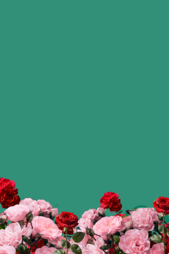 كرت مناسبة
