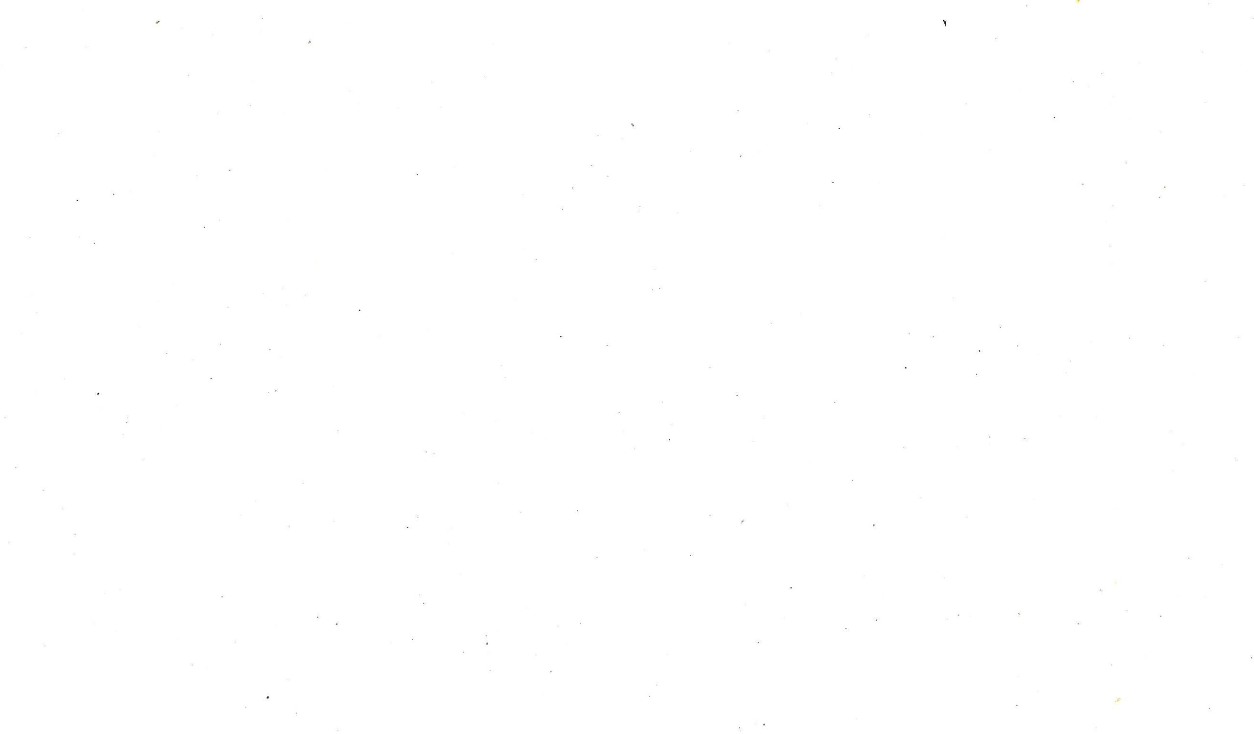 شانيل
