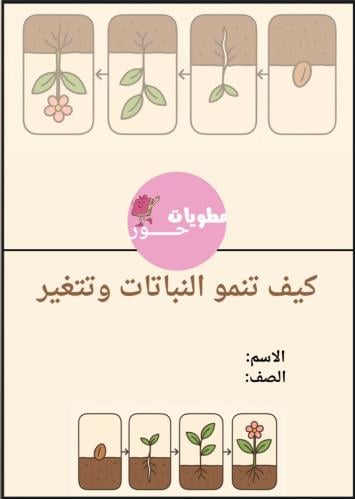 مطوية ثاني ابتدائي علوم كيف تنمو النباتات وتتغير
