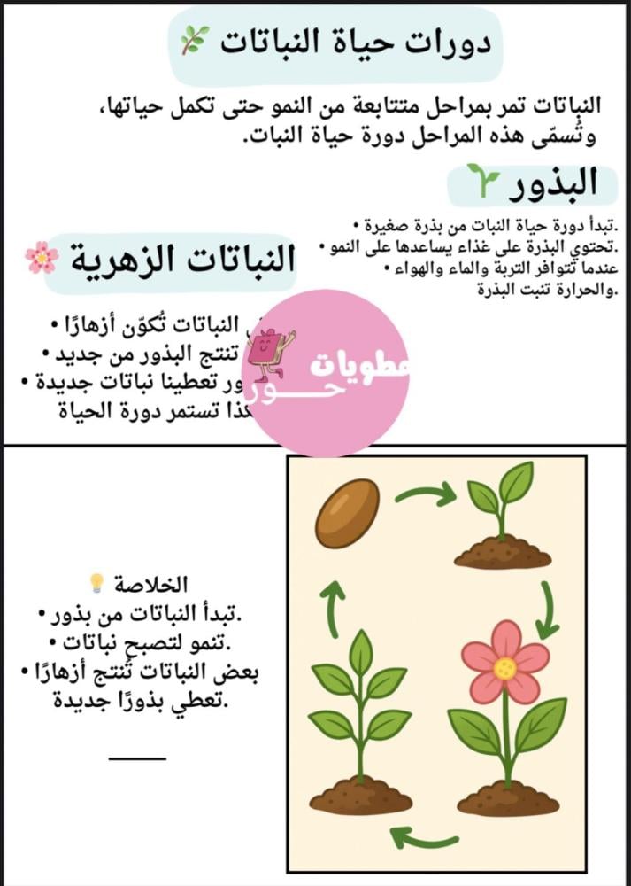 مطوية ثالث ابتدائي علوم دورات حياة النباتات