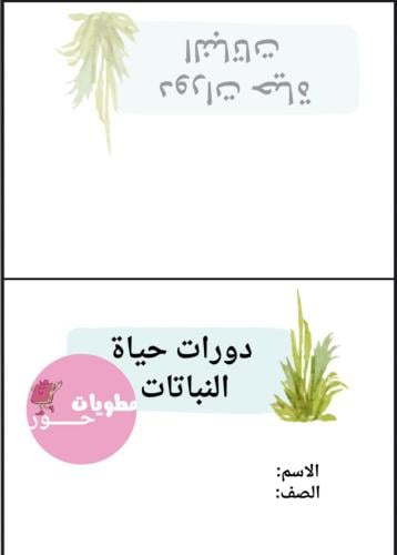 مطوية ثالث ابتدائي علوم دورات حياة النباتات