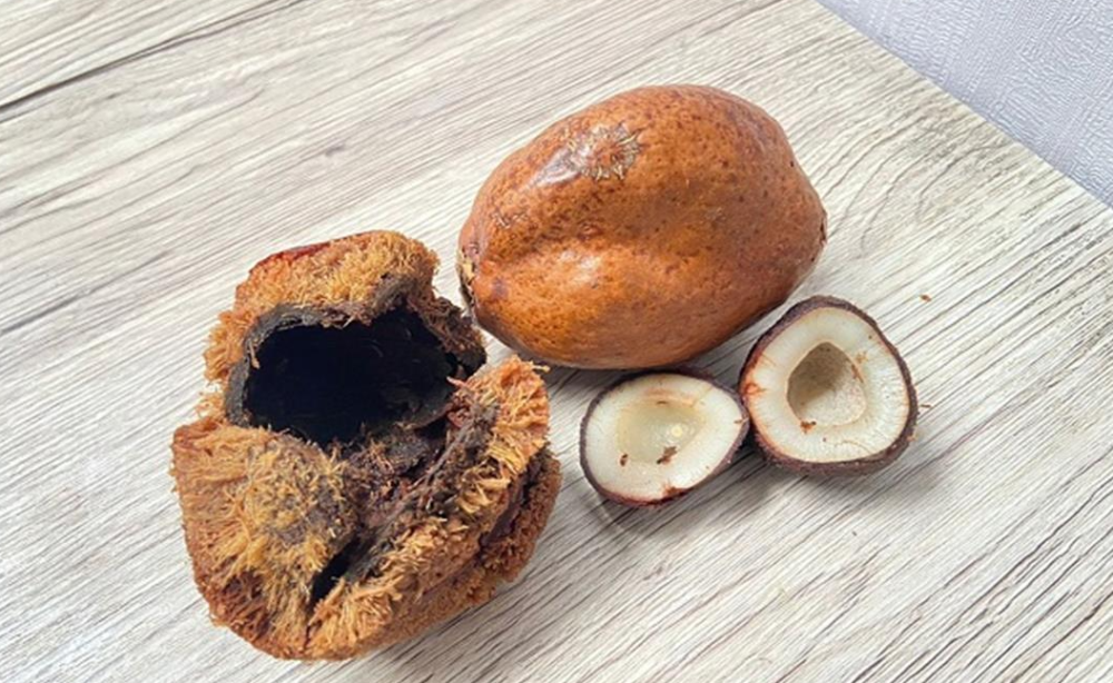 ثمرة الدوم وفوائدها الصحية المذهلة | منتجات الدوم من متجر حكاوي زمان