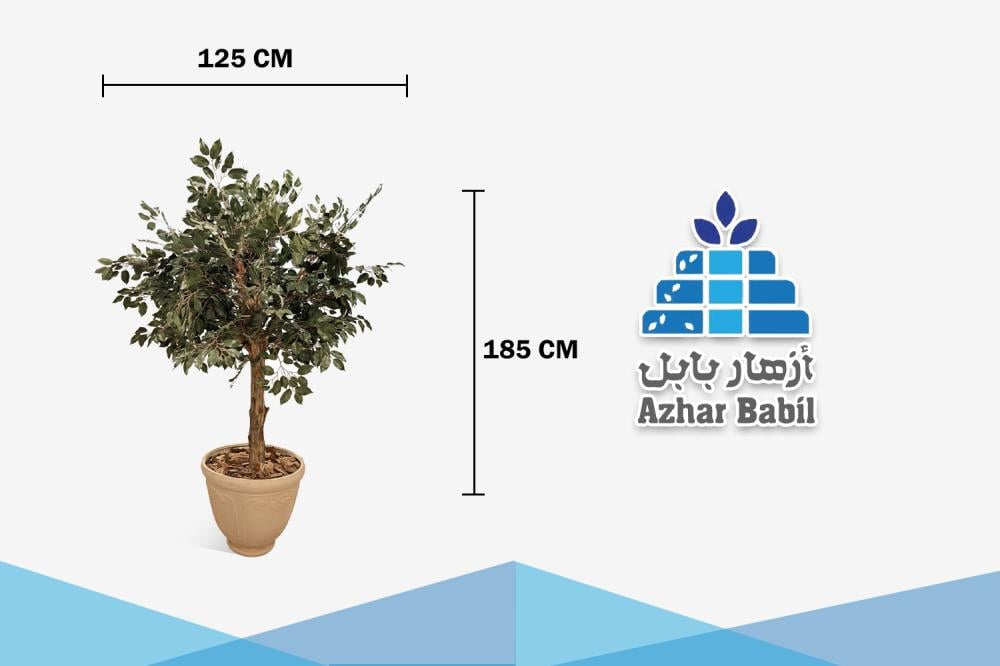 شجرة فيكس اصطناعية مورقة داكنة