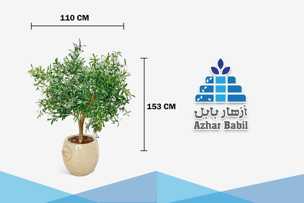 شجرة زيتون (Olive Tree) اصطناعية صغيرة/متوسطة فاخرة