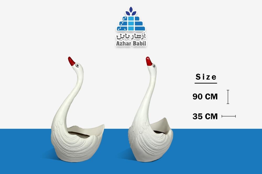 مركن البجعة البيضاء الأنيقة