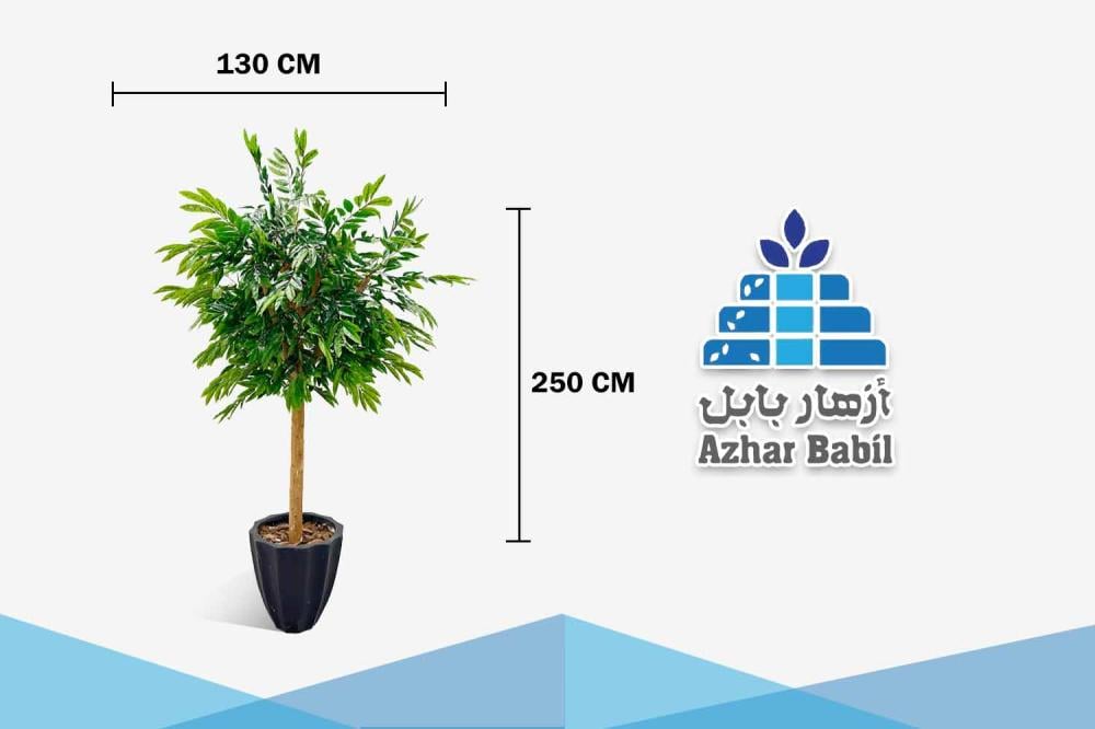 شجرة أوراق كثيفة اصطناعية (أزهار بابل) في حوض أسود