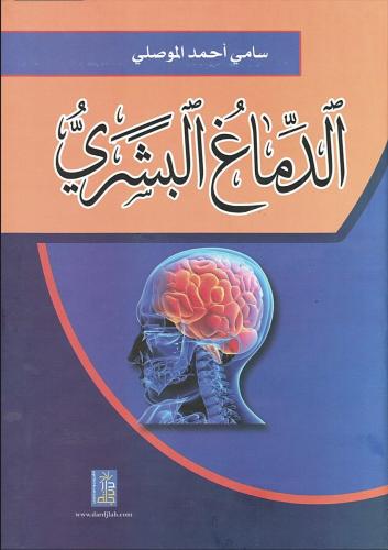الدماغ البشري