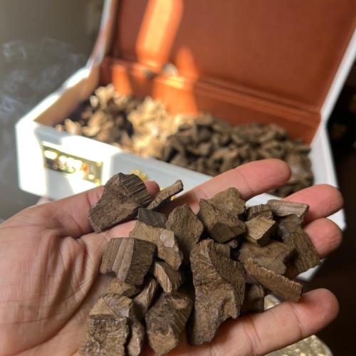 دقة العود لاوسي