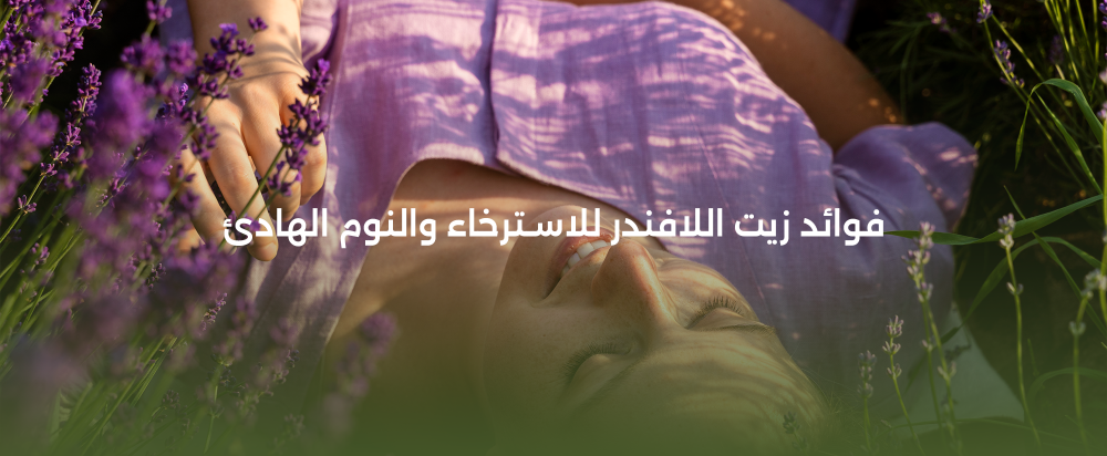 زيت اللافندر: رفيق الراحة والاسترخاء