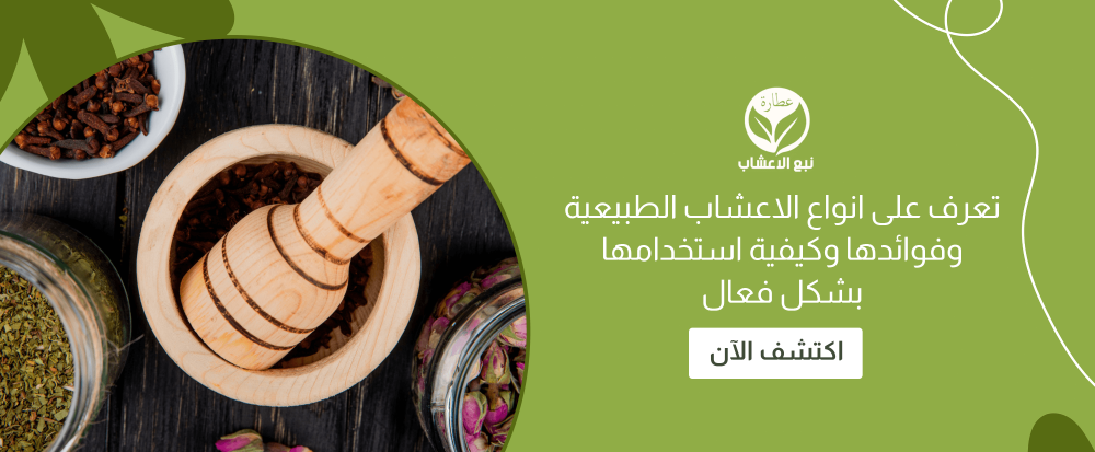 تعرف على انواع الاعشاب الطبيعية وفوائدها وكيفية استخدامها بشكل فعال تعرف على انواع الاعشاب الطبيعية وفوائدها وكيفية استخدامها بشكل فعال