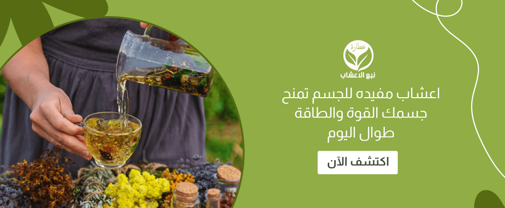 اعشاب مفيده للجسم تمنح جسمك القوة والطاقة طوال اليوم