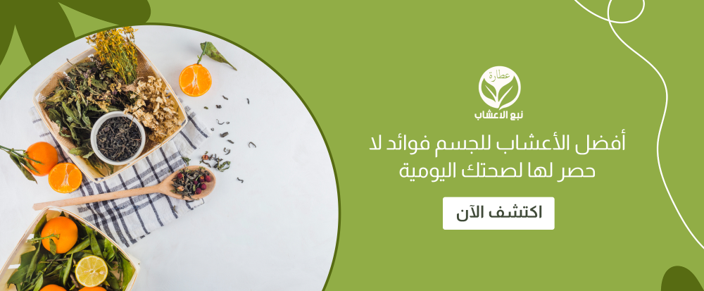 أفضل الأعشاب للجسم فوائد لا حصر لها لصحتك اليومية عطارة نبع