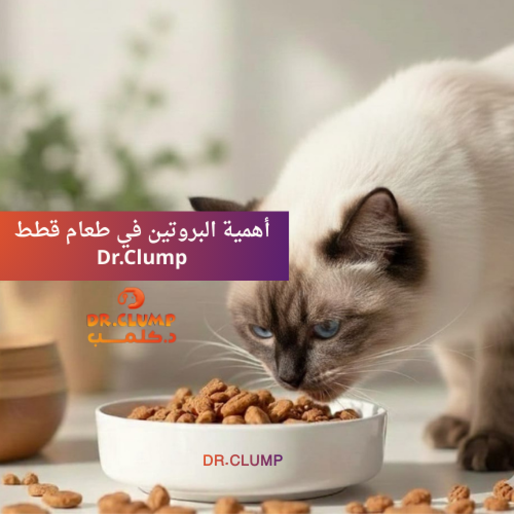 البروتين في طعام القطط | كم تحتاج قطتك فعلاً؟