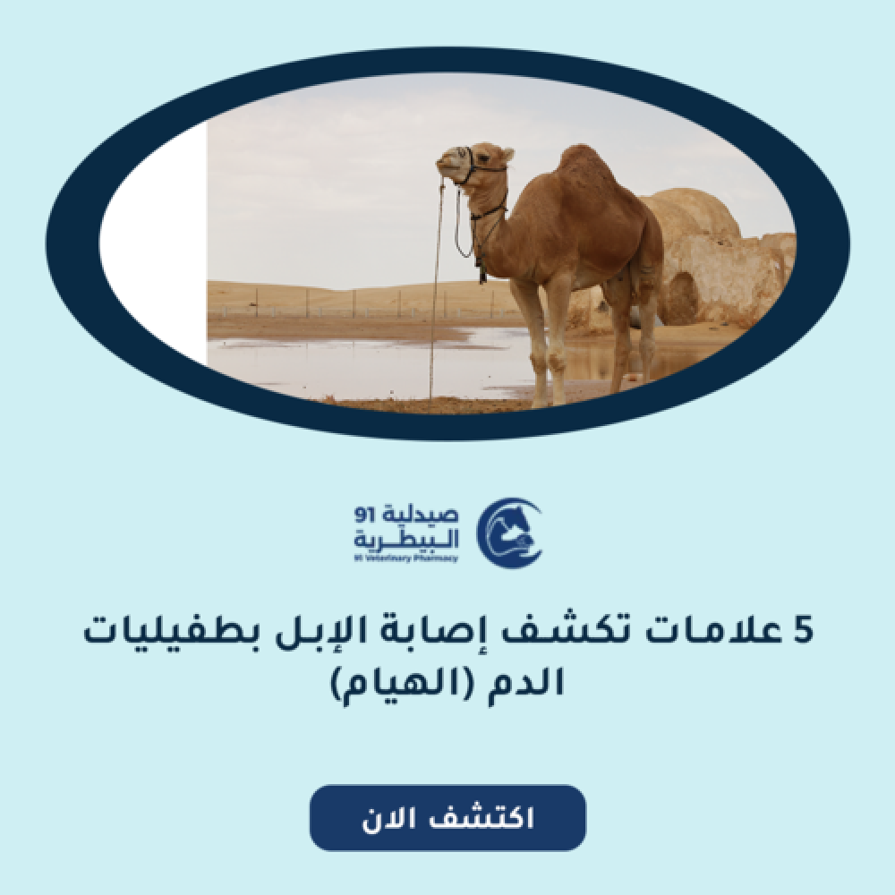 اعراض طفيليات الدم في الابل