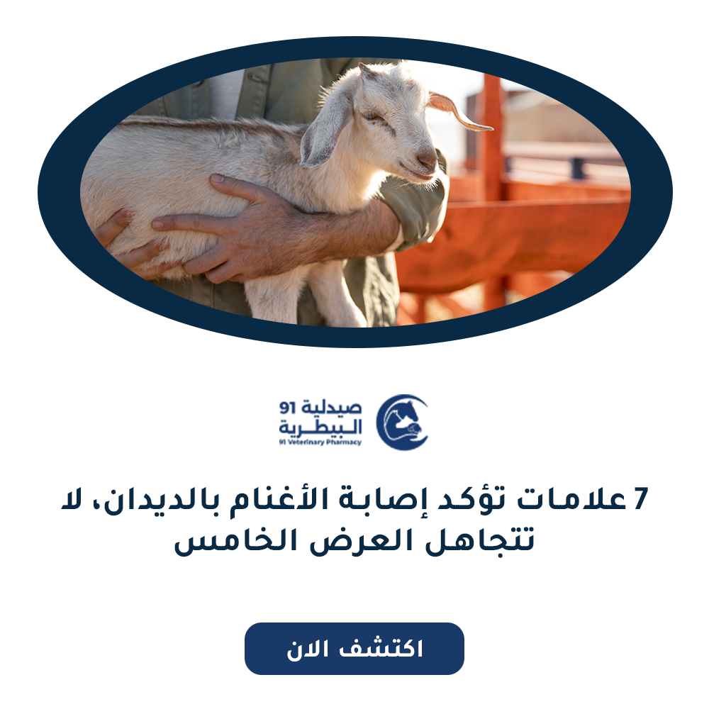 اعراض الديدان عند الاغنام